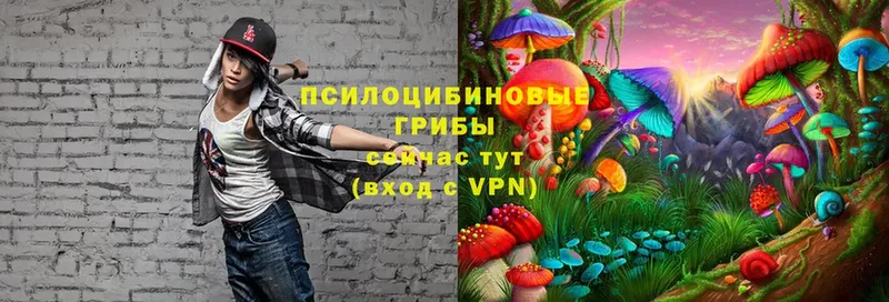 МЕГА ONION  Реутов  Псилоцибиновые грибы MAGIC MUSHROOMS  купить  сайты 